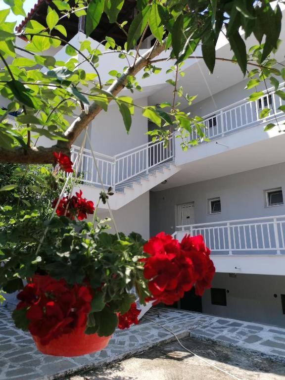 Elpida View Hotell Kallithea  Eksteriør bilde